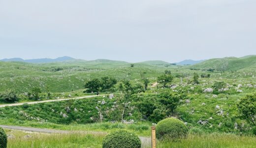 週末の夫婦時間【山口:美祢市:秋吉台:カルスト台地】